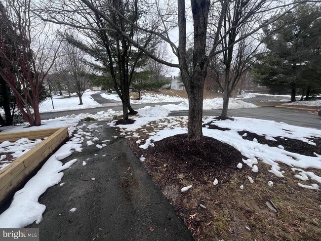 Building Photo - 8110 Meadow Springs Ct