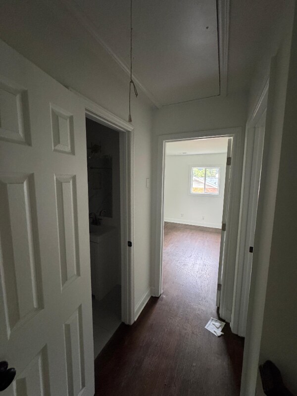 Building Photo - 6415 Hidden Forest Dr