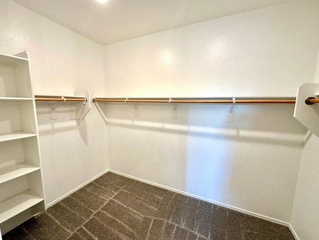 Building Photo - Fantastic 4BR/3BA Richmond American Larimar in Entrada Del Oro! Features white shaker cabinets, q...