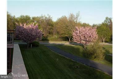 Building Photo - 7706 Majestic Way