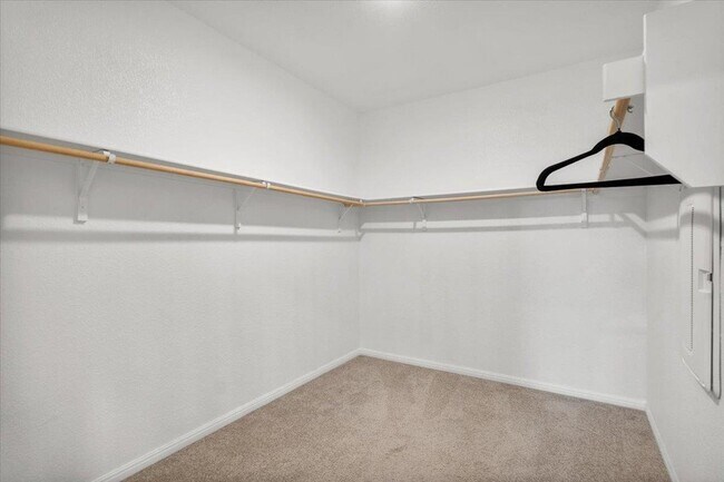 Building Photo - 2613 Indian Clover Trl