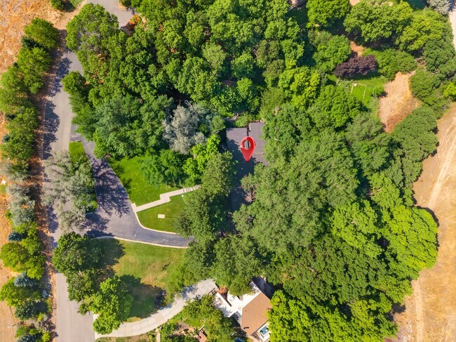 Building Photo - 11107 Gambel Oak Cir