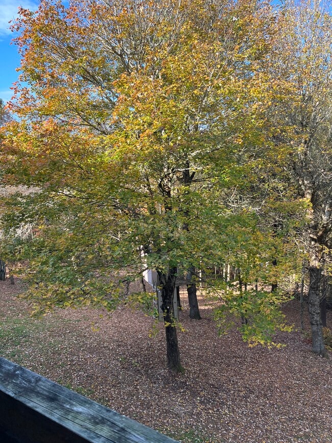 Building Photo - 630 Sorrento Dr