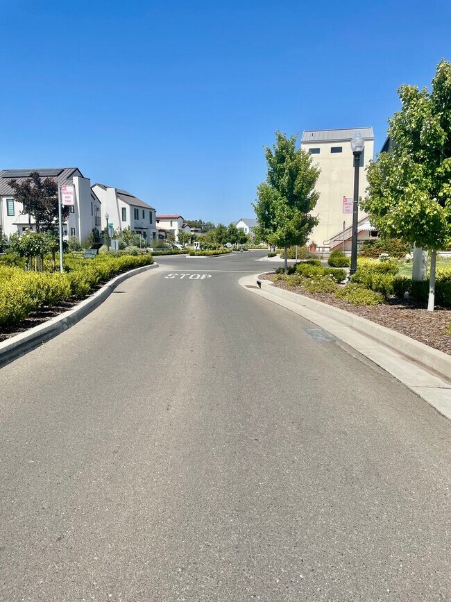 Building Photo - Wow! Custom Built Smart Home in Sutter Par...