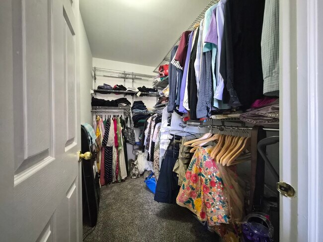 Building Photo - 3817 Baybrook Dr