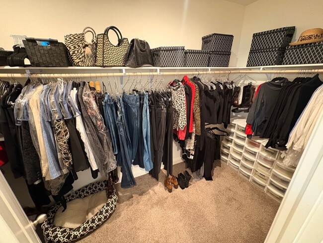 Building Photo - Beautiful 4 bedroom home for rent in Visalia, CA