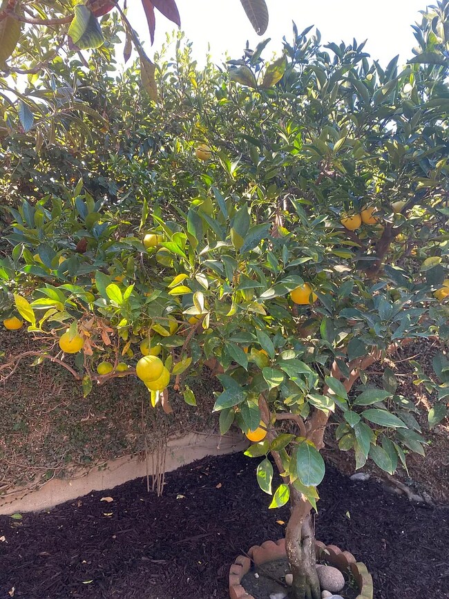 Building Photo - 3106 E 15th St