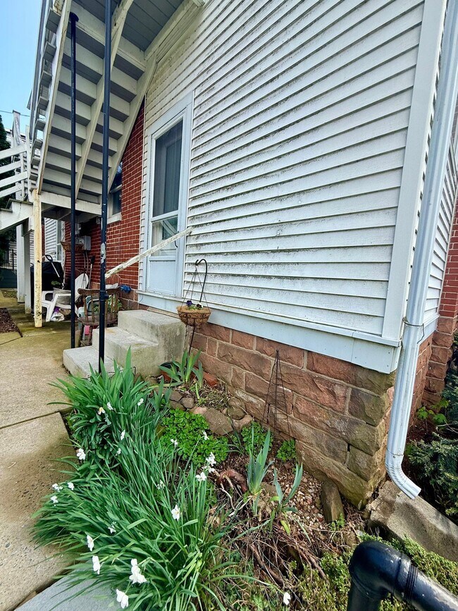 Building Photo - 441 Walnut St