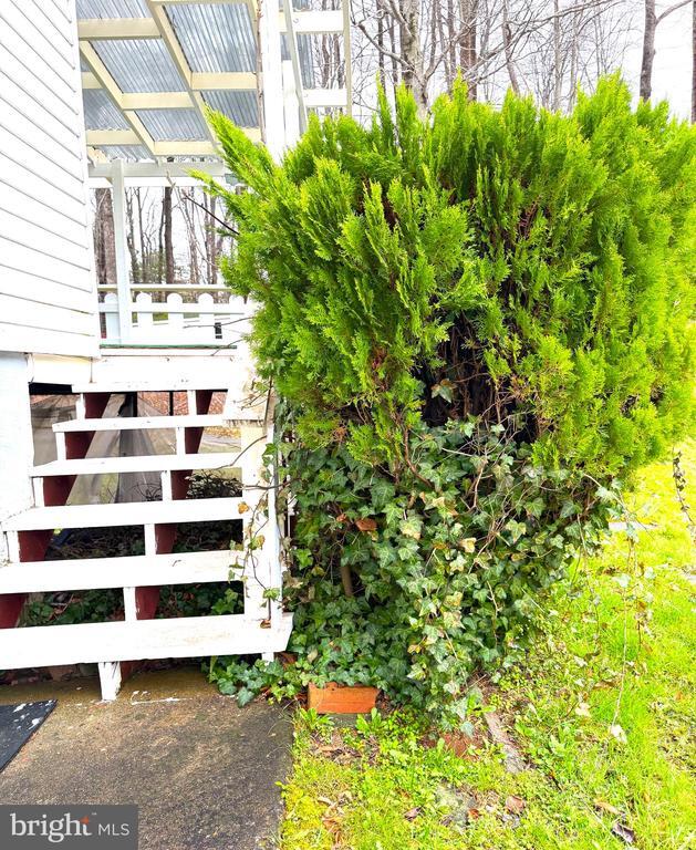 Building Photo - 4959 Linsey Ct