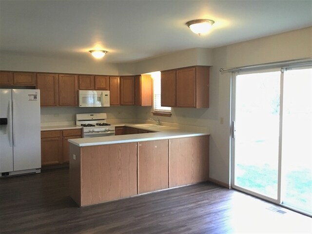 Building Photo - 1907 Arbor Falls Dr