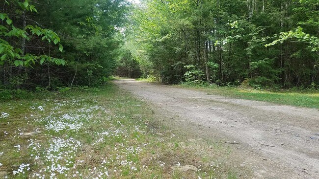 Building Photo - 19 Saco St