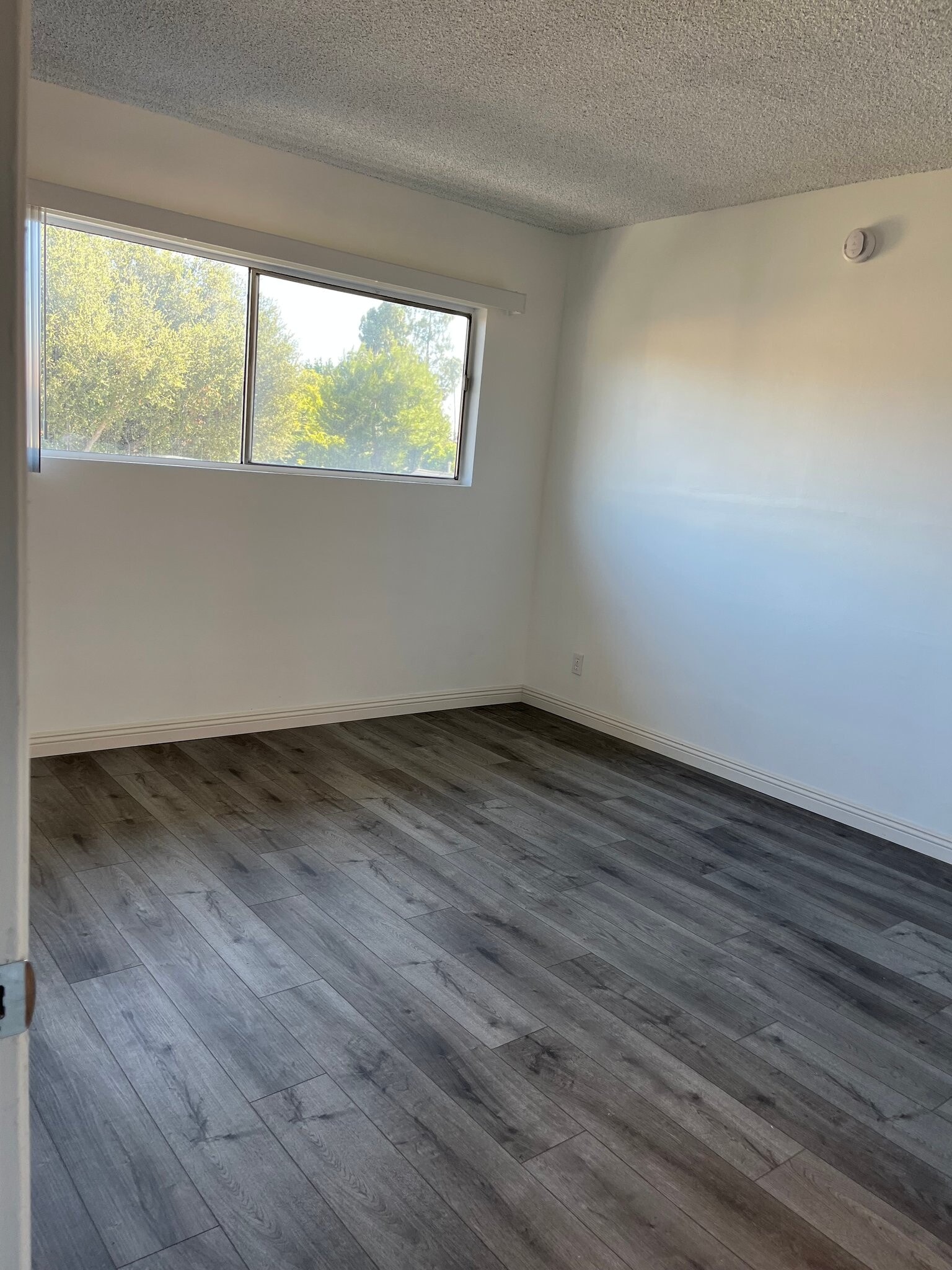 Building Photo - 537 S El Molino Ave