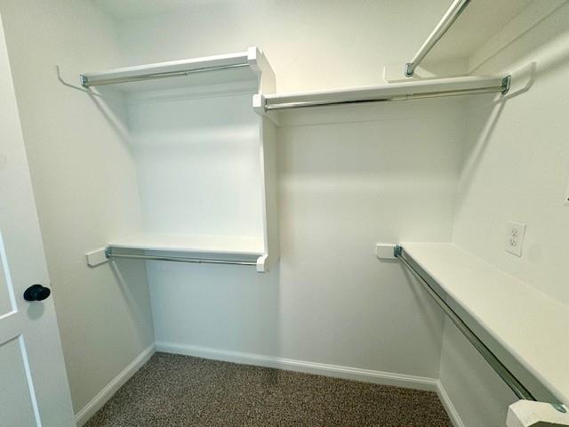 Building Photo - 3125 Gunnison River Dr