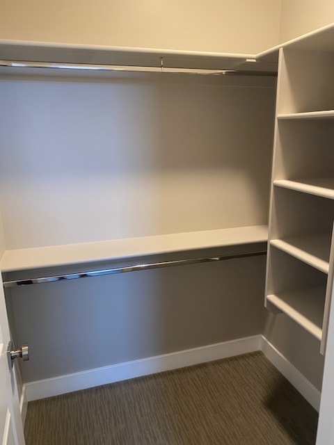 Building Photo - 832 Black Alder Dr