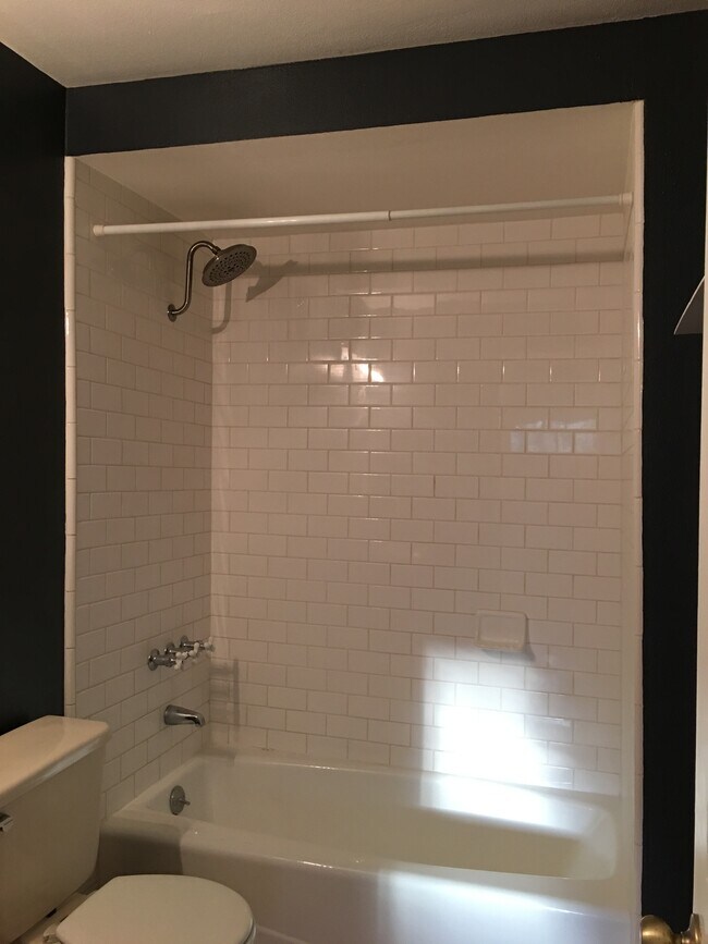 Bathtub - 178 Muerdago Rd