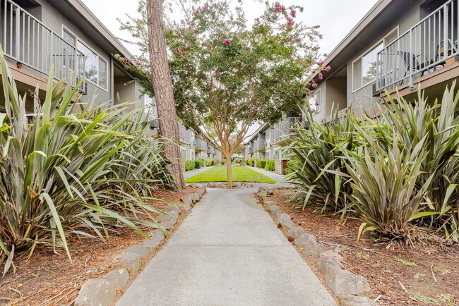 Building Photo - 234 Escuela Ave