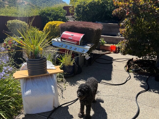 Building Photo - 10 Mount Diablo Cir