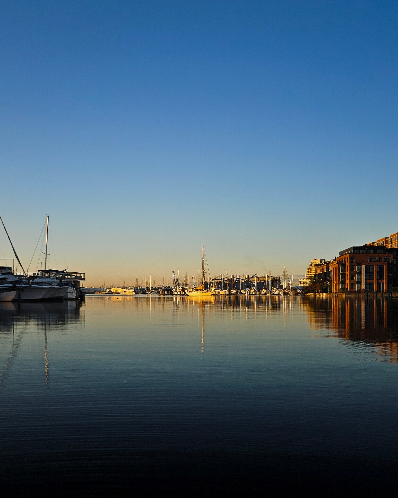 Building Photo - 1900 Aliceanna St