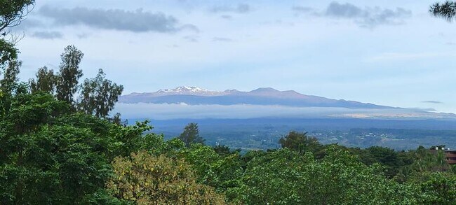 Building Photo - 355 Kalanianaole St