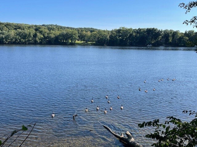 Building Photo - 86 Margin St