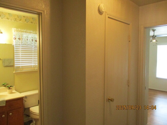 Building Photo - 163 Armadillo Ln