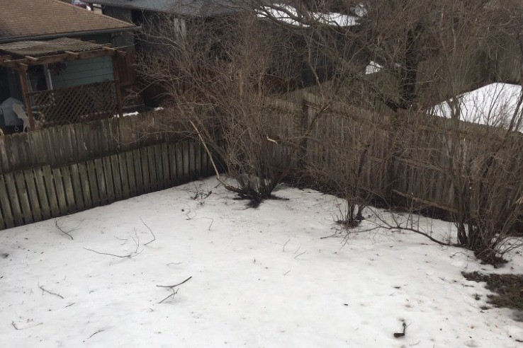 Building Photo - 1460 Eastview Dr