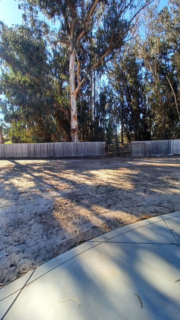 Building Photo - Modern 2 Bed/1 Bath Home, All Utilities In...