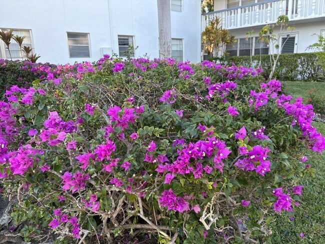 Building Photo - 230 Bedford E