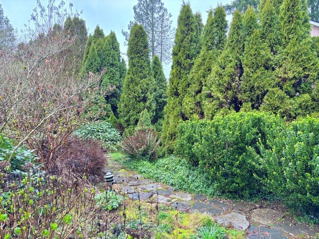 Building Photo - Spacious Ranch Style Home w/ private patio and yard, 2 car garage and vaulted ceilings