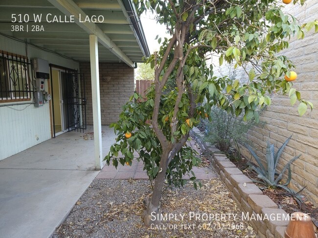 Building Photo - Located in North Tucson! 3 Bedroom 2 Bathr...