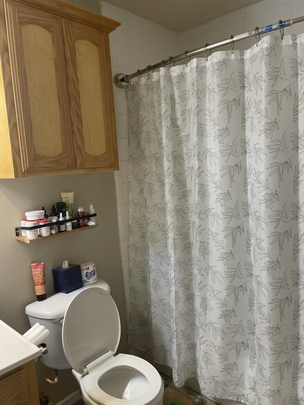 Hall bathroom - 2607 Ringold Cir