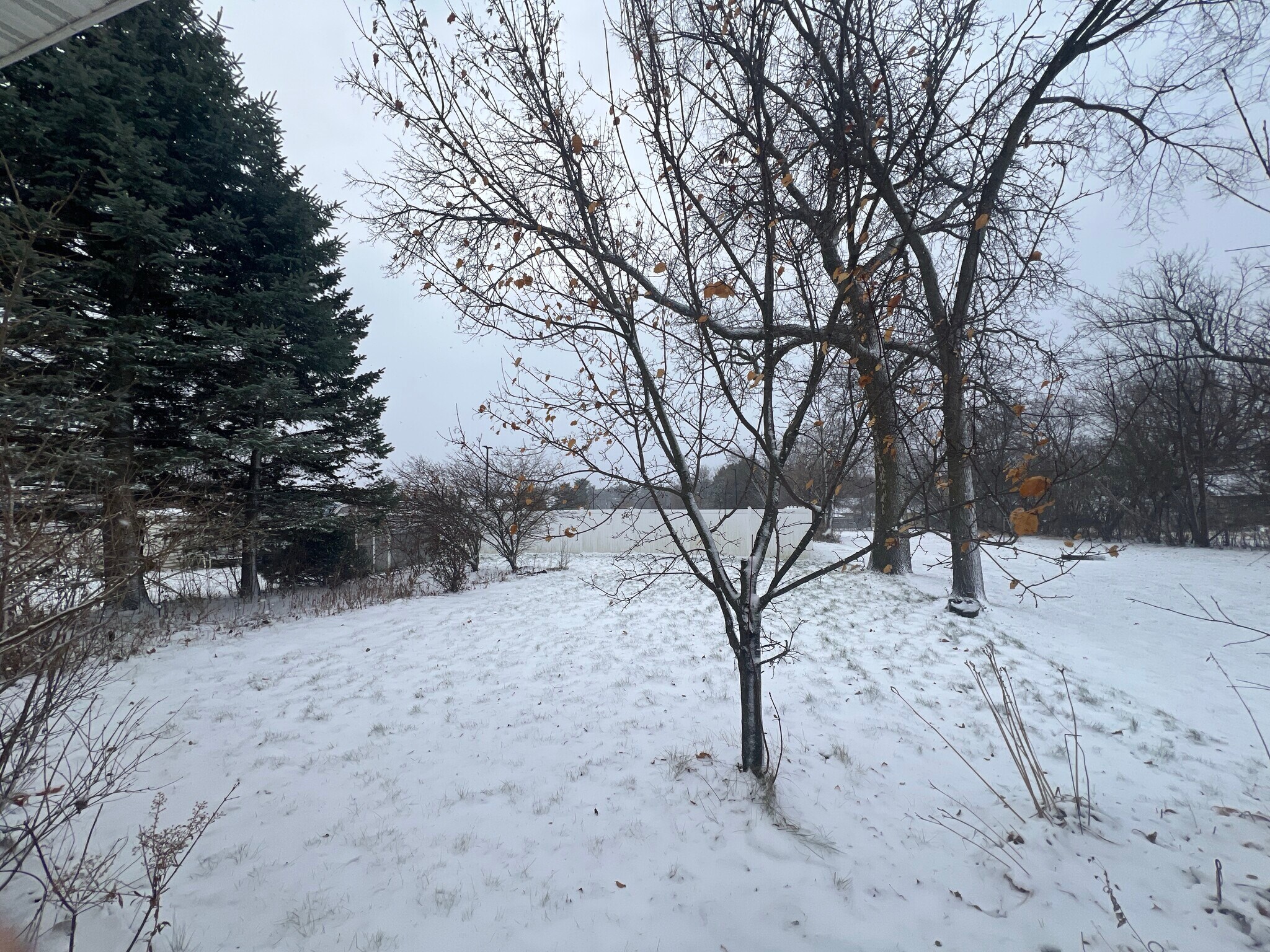 Building Photo - 911 Townline Rd