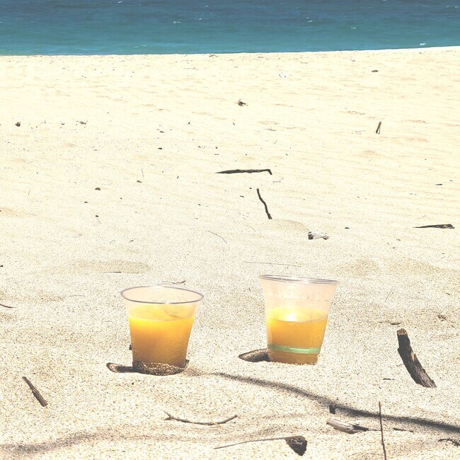 Building Photo - Live the beach life! Remodeled 1 Bedroom N...