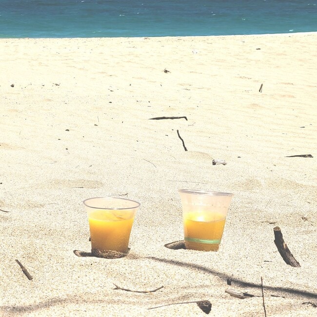 Building Photo - Live the beach life! Remodeled 1 Bedroom Near Charlie Young Beach