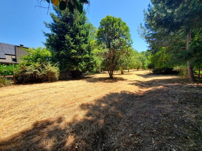 Building Photo - 3113 Lippizaner Ln