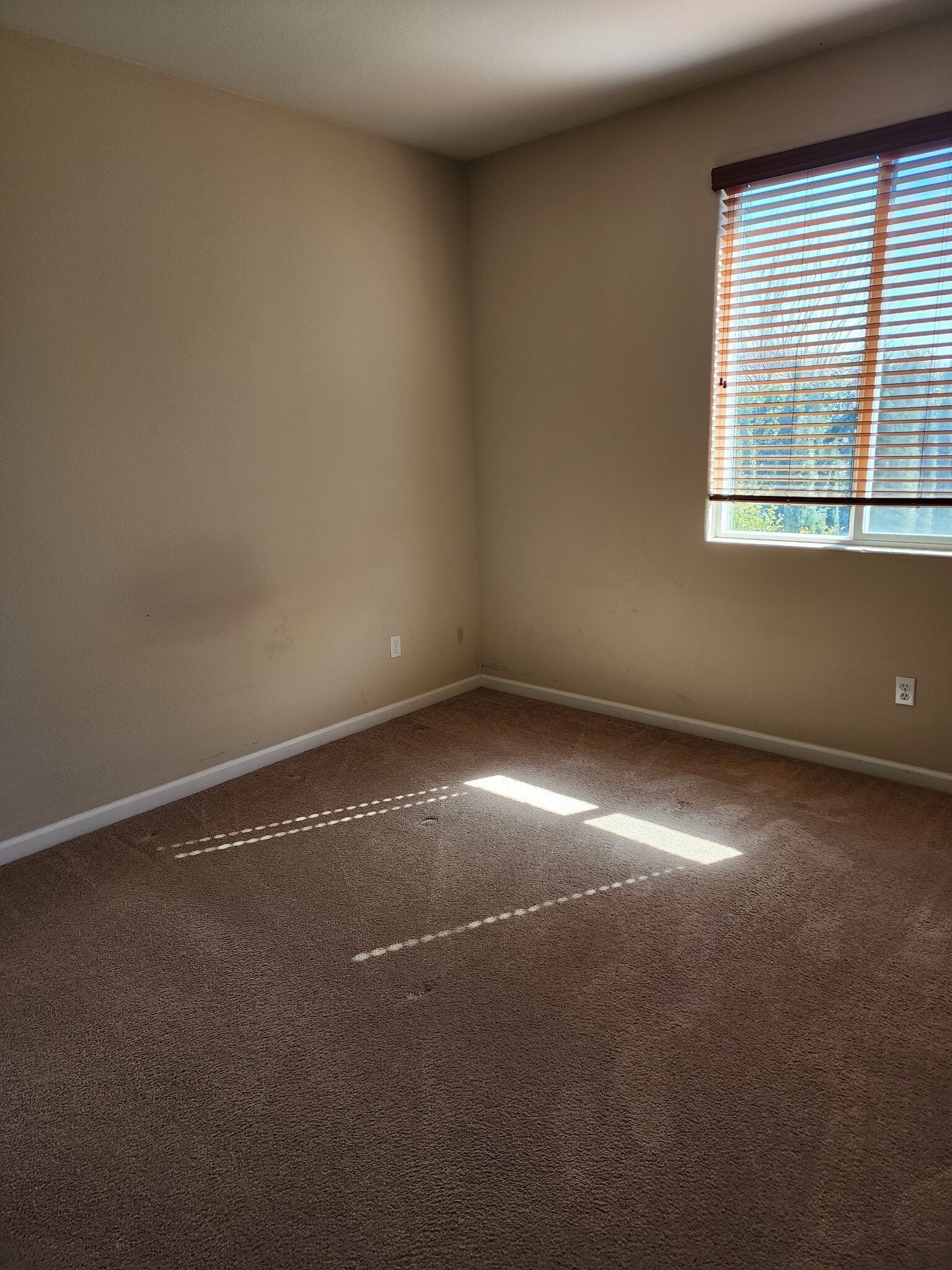 Bedroom 2 - 207 Hibiscus Way