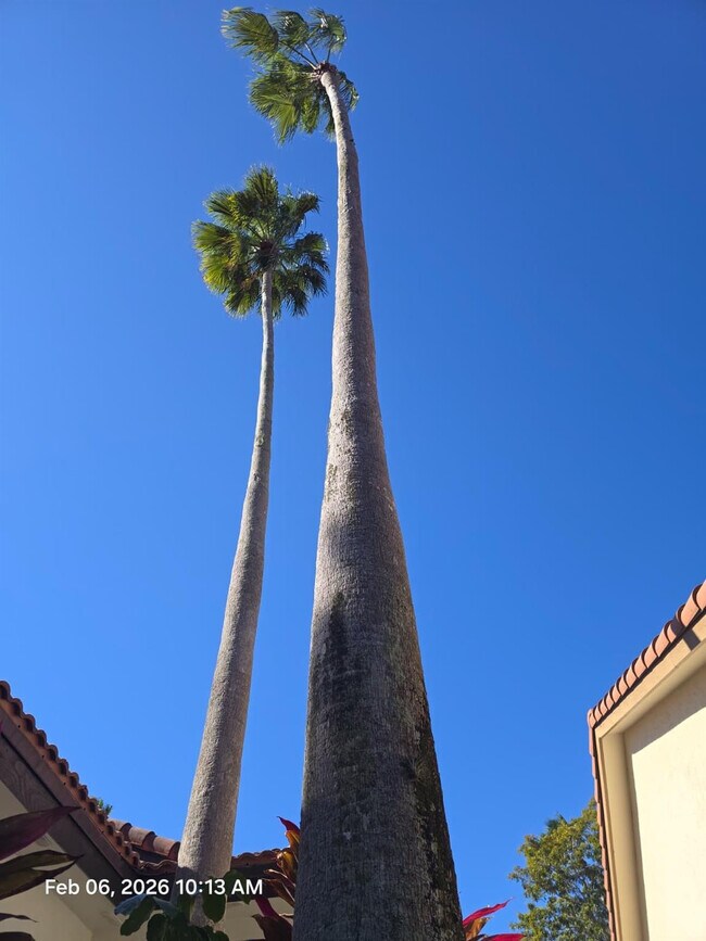 Building Photo - 2177 Montpeliar