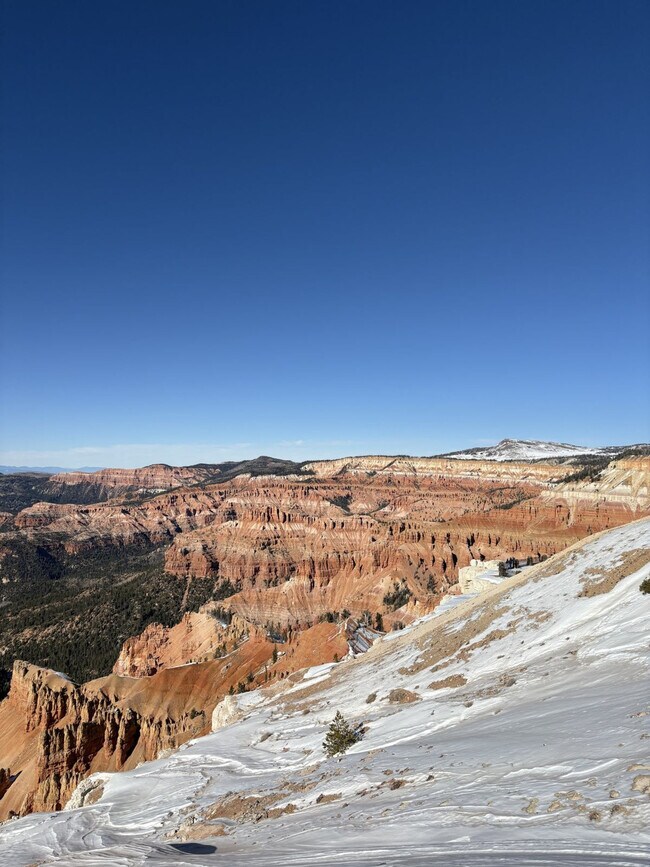 Building Photo - 220 Circle Dr