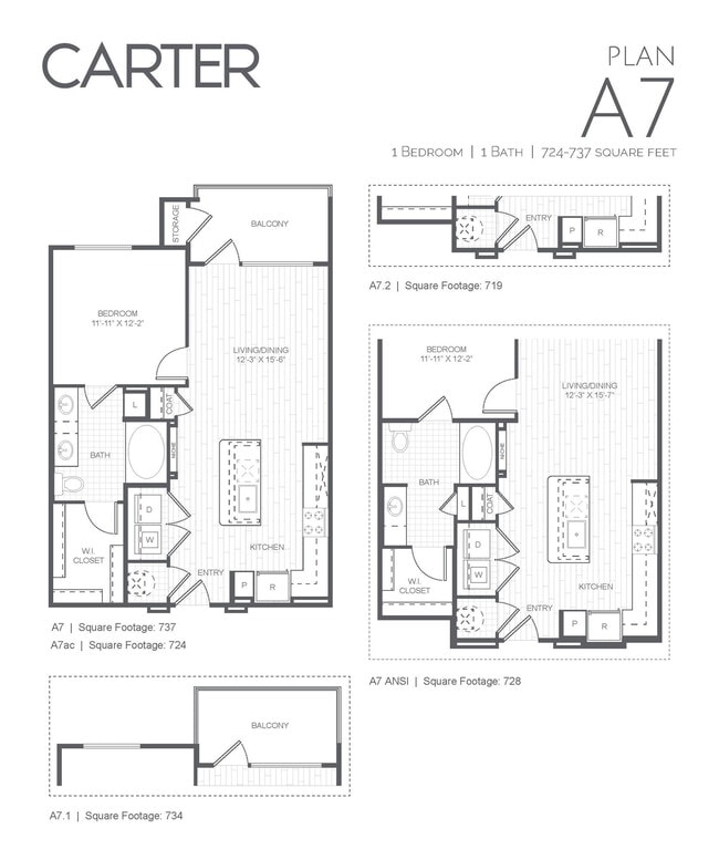 Floorplan - Carter