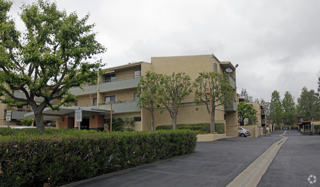 Primary Photo - Sycamore Terrace
