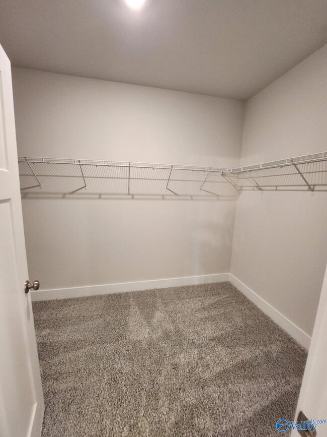 Building Photo - 137 Rugby Dr