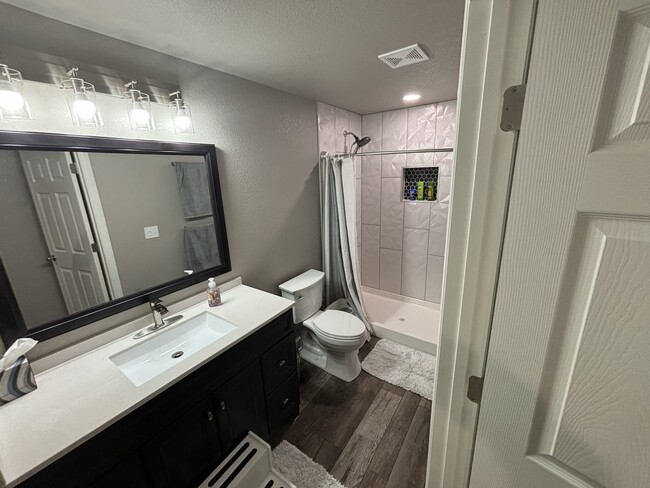 Basement Bathroom - 3648 Abbotswood Dr