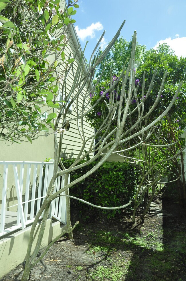 Building Photo - 607 Nadina Pl