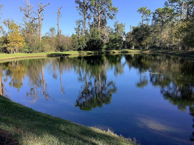 Pond in back of Condominium/Unit - 3120 Oriole Dr