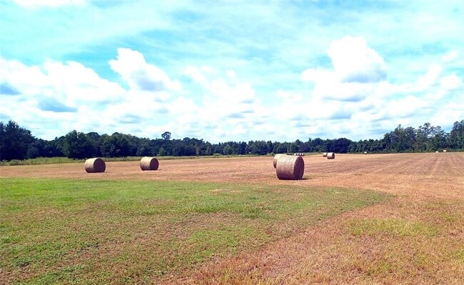 Building Photo - 13832 South Bay Lake Rd