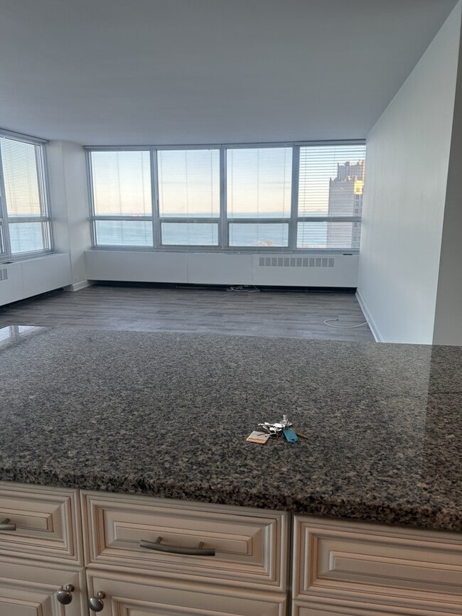 Building Photo - 4800 S Chicago Beach Dr