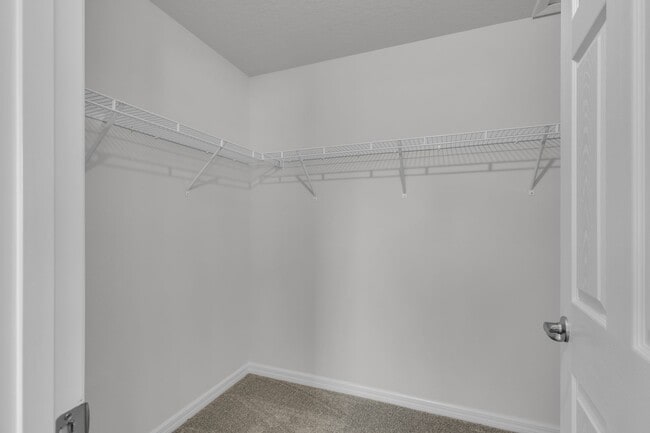Building Photo - New 3/2 Rental Home In The Pines At Citrus Springs