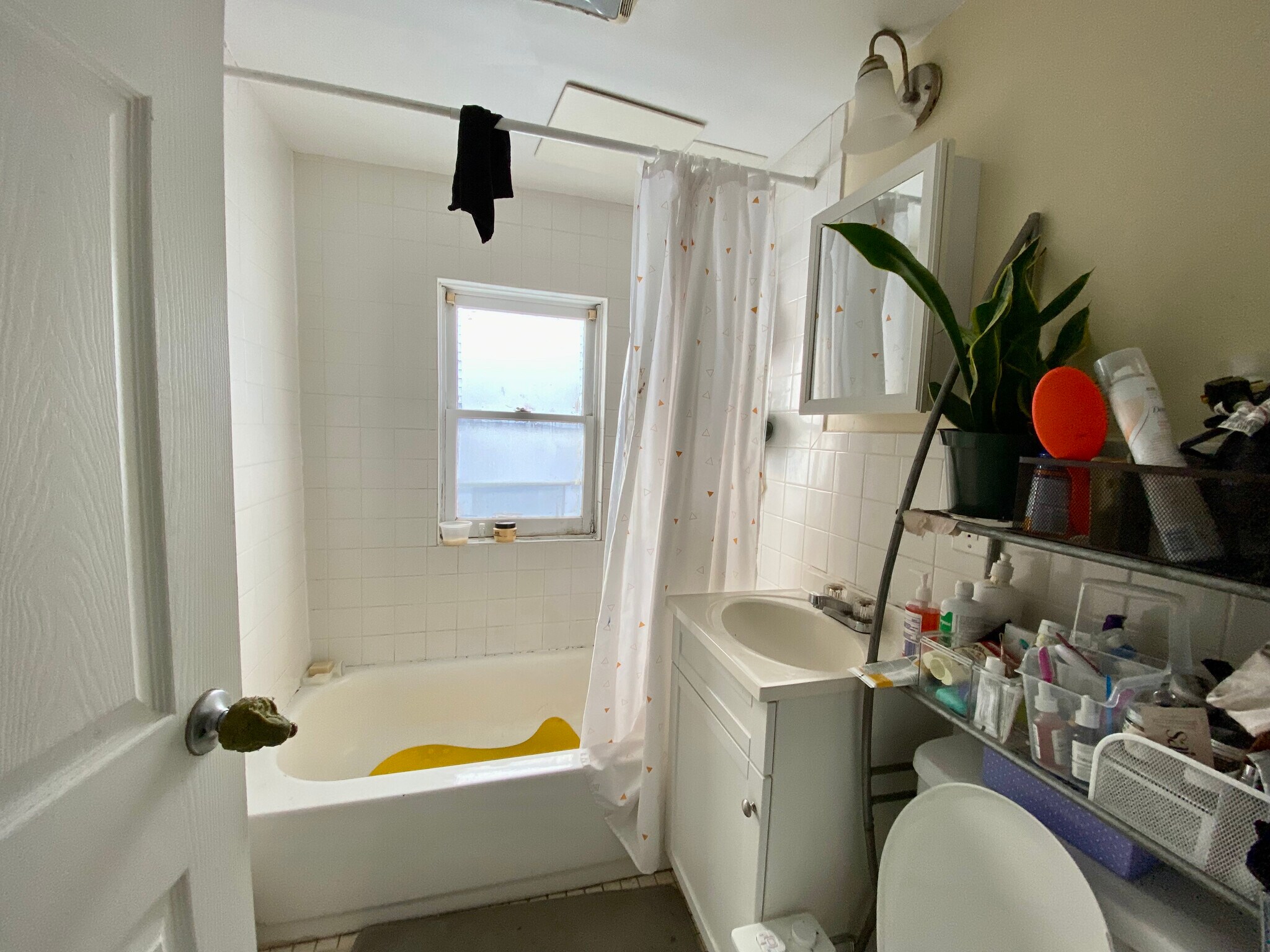 Building Photo - 12 Shepherd Ave