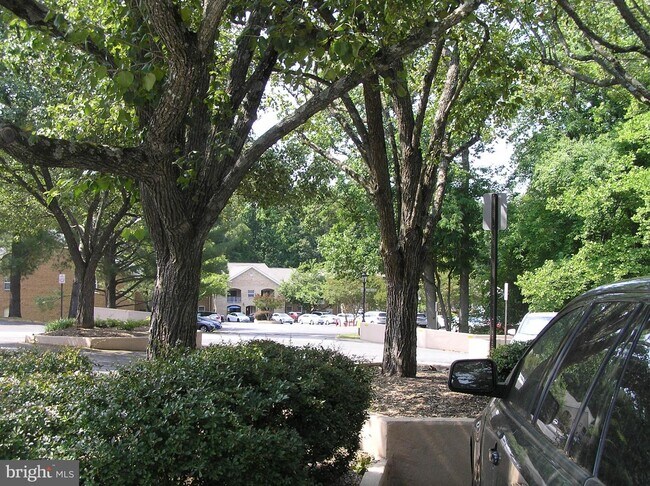 Building Photo - 5817 Cove Landing Rd