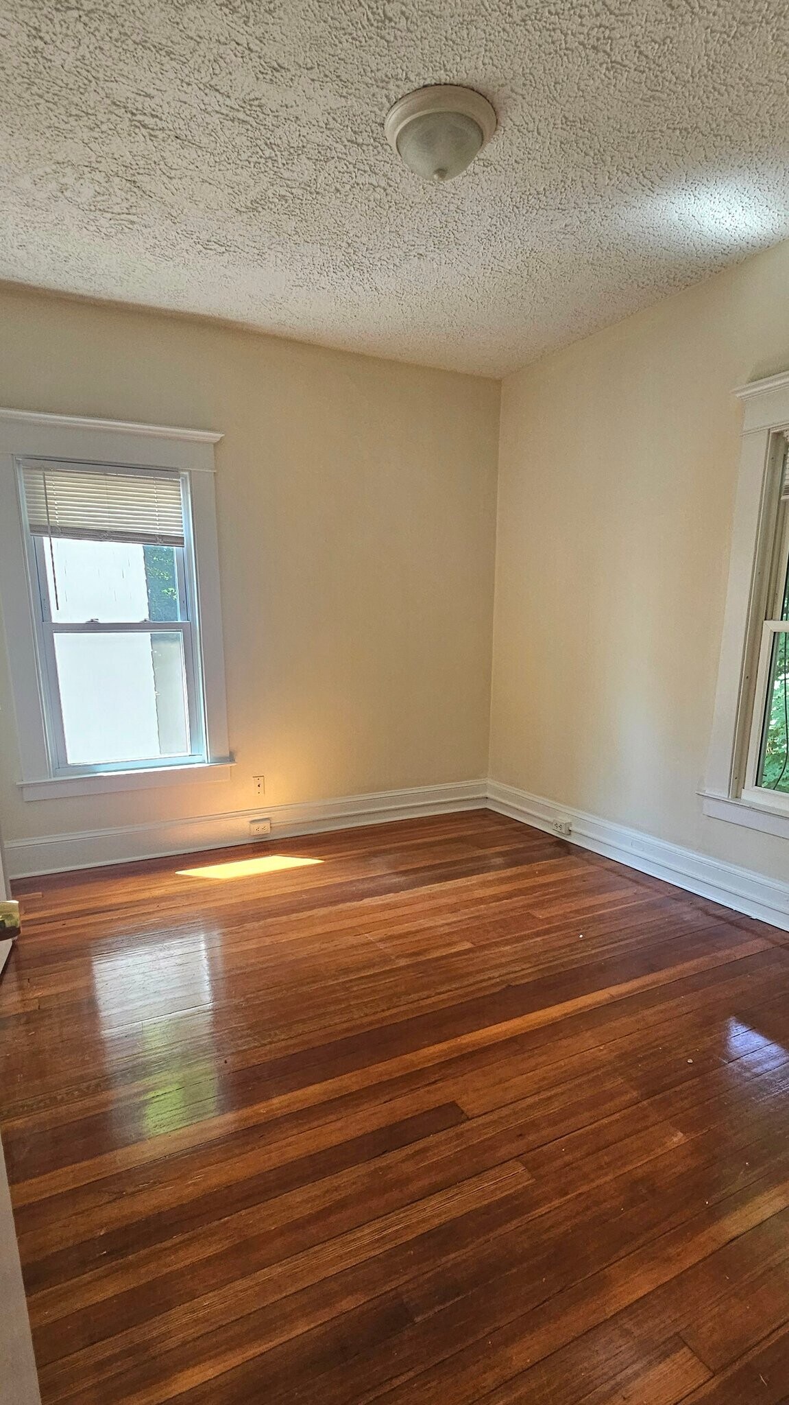 Building Photo - 254 Goffe Terrace